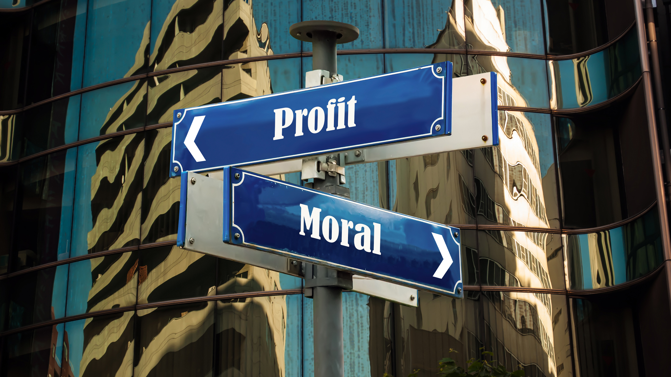 Profit vs. Moral